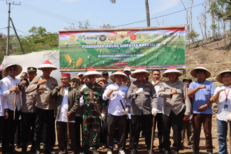 WhatsApp Image 2025-10-08 at 11.37.43