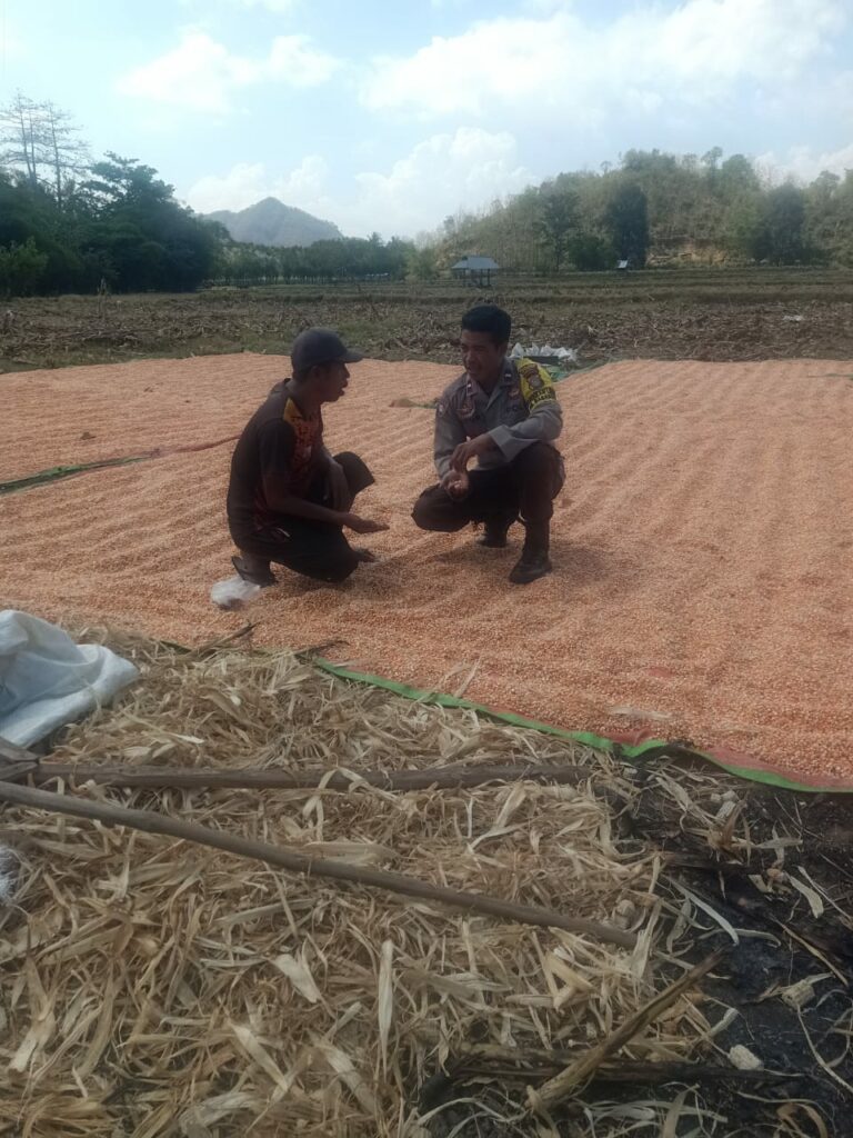 WhatsApp Image 2025-10-08 at 15.29.43