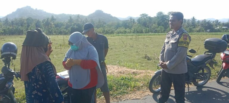 WhatsApp Image 2025-10-10 at 09.35.06