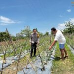 WhatsApp Image 2025-10-13 at 09.50.55_9d1fcad6