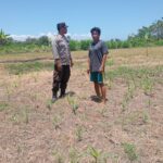 WhatsApp Image 2025-10-13 at 14.06.41