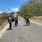 WhatsApp Image 2025-10-14 at 08.32.46_4bf6c635