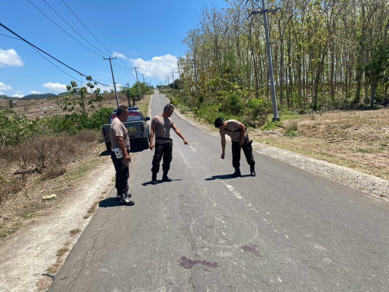 WhatsApp Image 2025-10-14 at 08.32.46_4bf6c635