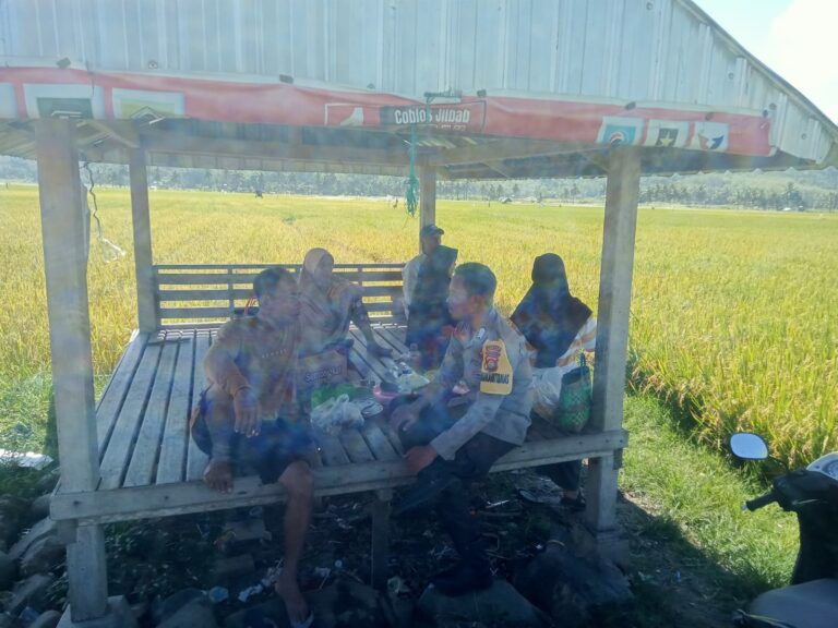 WhatsApp Image 2025-10-14 at 09.09.03