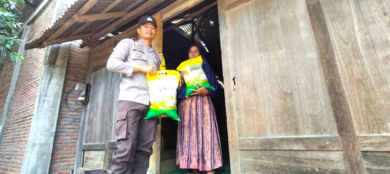 WhatsApp Image 2025-10-14 at 13.56.26