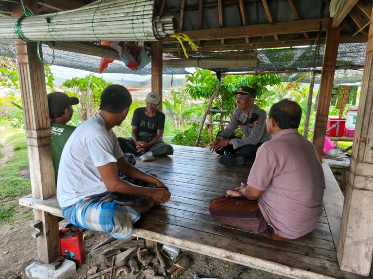 WhatsApp Image 2025-10-14 at 17.40.17_3567970a