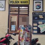 WhatsApp Image 2025-10-16 at 09.37.57