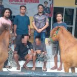 WhatsApp Image 2025-10-18 at 19.18.51