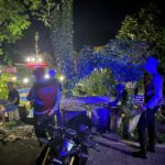 WhatsApp Image 2025-10-19 at 00.19.13