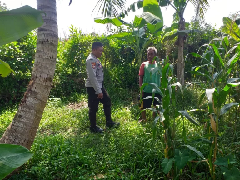 Sinergi Polri dan Petani di Lombok Barat Perkuat Kemandirian Pangan