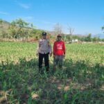 WhatsApp Image 2025-10-19 at 21.15.05