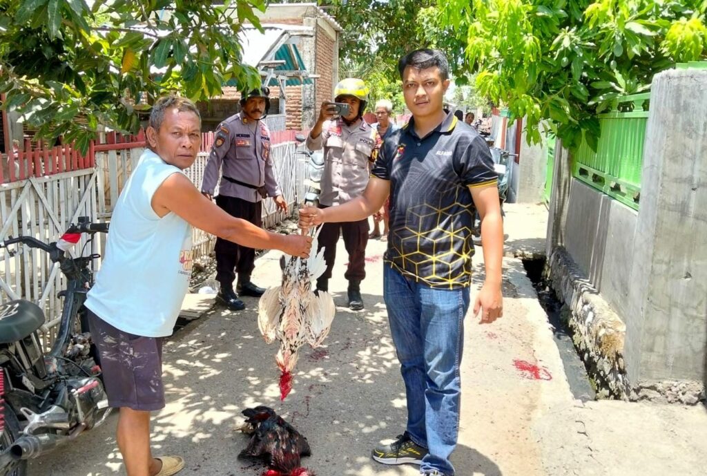 WhatsApp Image 2025-10-20 at 18.24.09_b0a8f25a