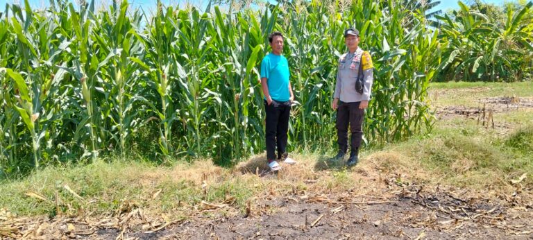 WhatsApp Image 2025-10-20 at 18.47.04