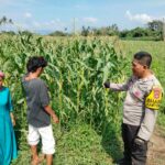 WhatsApp Image 2025-10-21 at 14.45.37