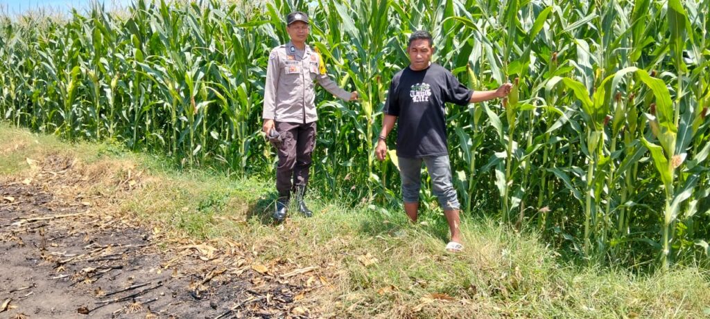 WhatsApp Image 2025-10-23 at 18.54.00