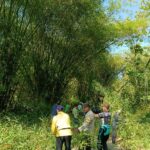 WhatsApp Image 2025-10-25 at 09.27.02