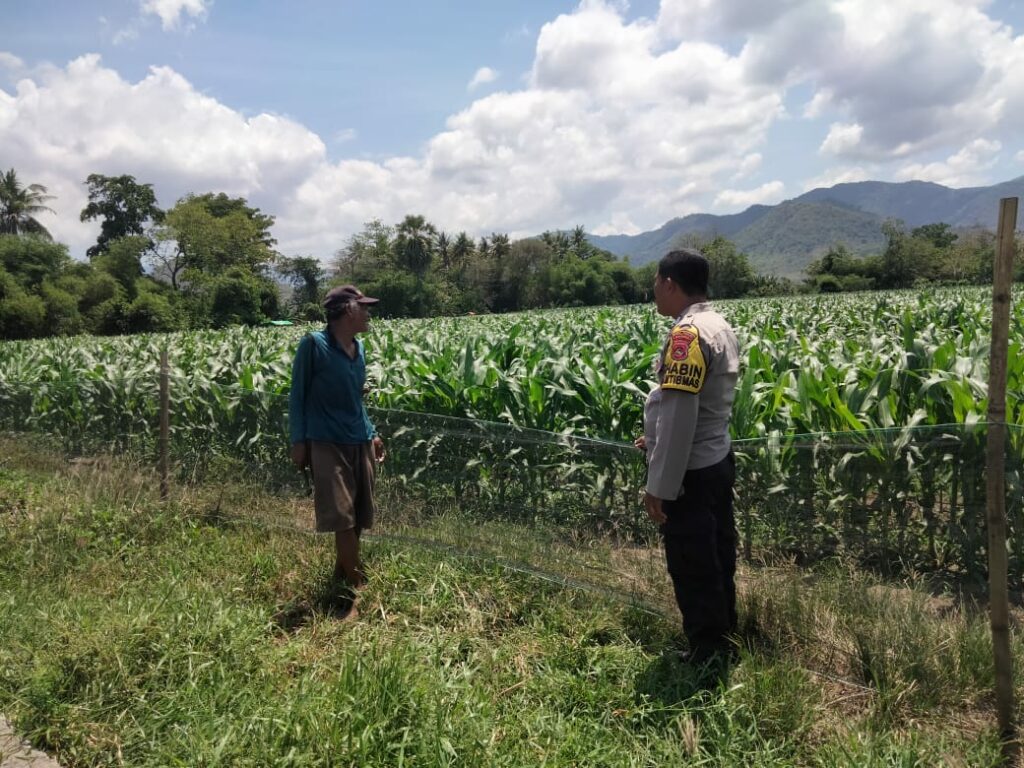 WhatsApp Image 2025-10-26 at 22.12.40