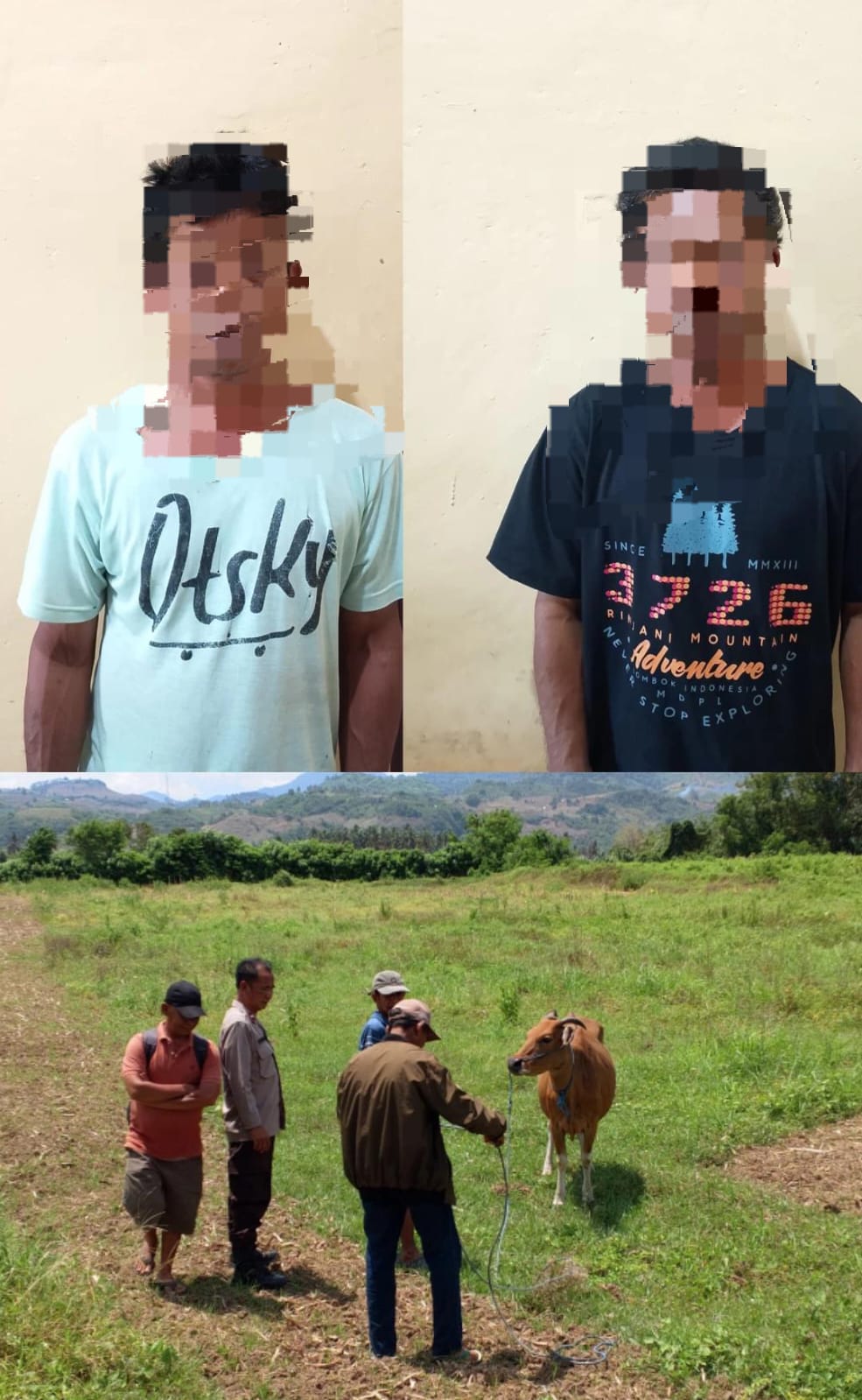 WhatsApp Image 2025-10-27 at 08.52.47_de7a4a5b