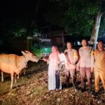 WhatsApp Image 2025-10-28 at 08.25.22_0661c085