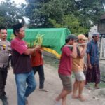 WhatsApp Image 2025-10-28 at 12.24.01