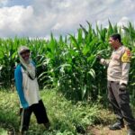 WhatsApp Image 2025-10-30 at 18.58.13