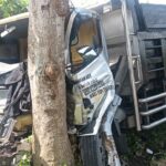 ab53fd57-1bc4-470b-bc89-0195ea6b5696