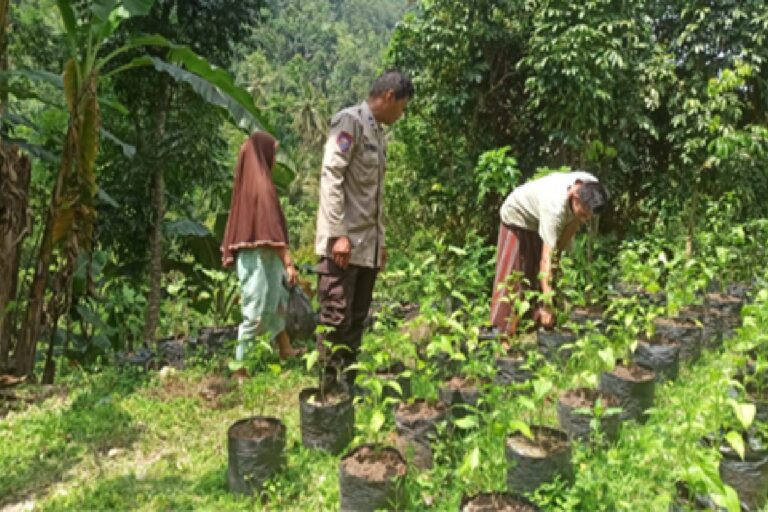 Inovasi Polsek Batulayar: Pertanian Mandiri Jaga Ketahanan Pangan Keluarga