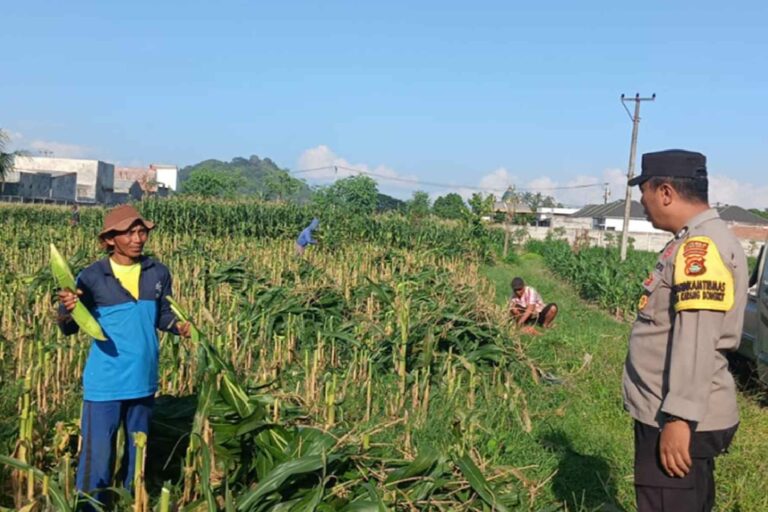 Polri Dukung Ketahanan Pangan, Bhabinkamtibmas Labuapi Edukasi Warga Manfaatkan Lahan Kosong