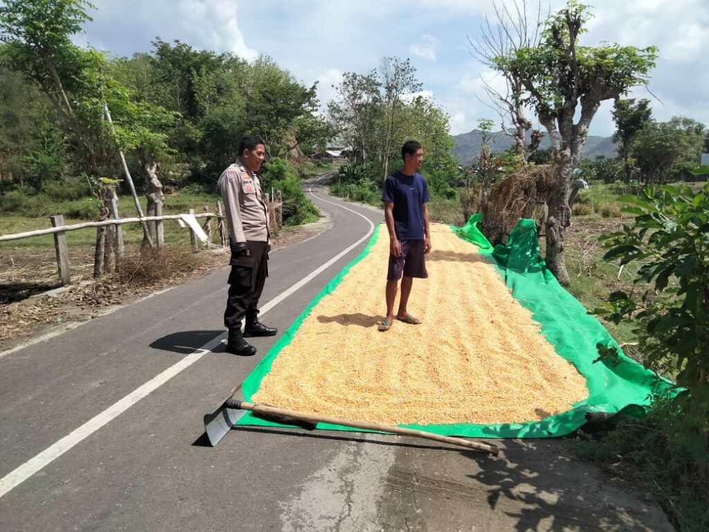 WhatsApp Image 2025-11-02 at 20.24.36