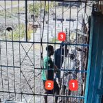 WhatsApp Image 2025-11-03 at 07.00.58