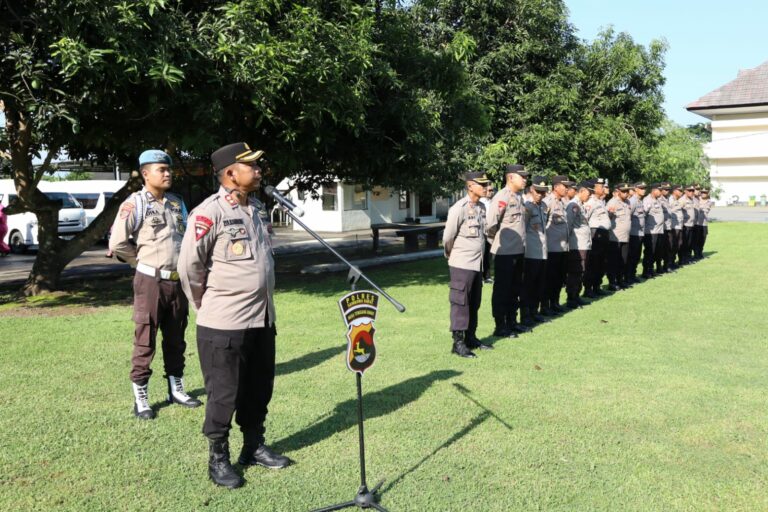 WhatsApp Image 2025-11-03 at 07.44.31