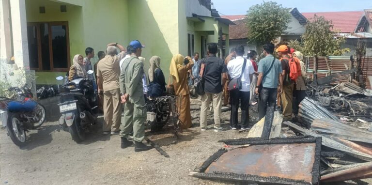 WhatsApp Image 2025-11-05 at 08.52.44_0822c77f