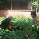 WhatsApp Image 2025-11-06 at 08.54.15