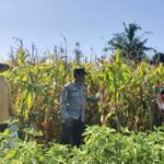 WhatsApp Image 2025-11-10 at 16.03.06