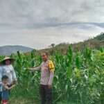 WhatsApp Image 2025-11-12 at 20.19.34