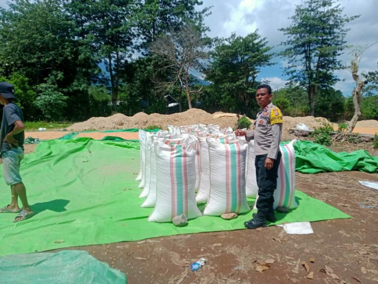 WhatsApp Image 2025-11-13 at 19.58.45