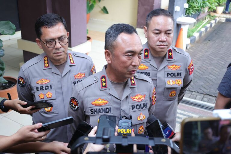 WhatsApp Image 2025-11-13 at 20.00.38_ea3ca22f