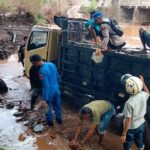 WhatsApp Image 2025-11-14 at 09.36.33