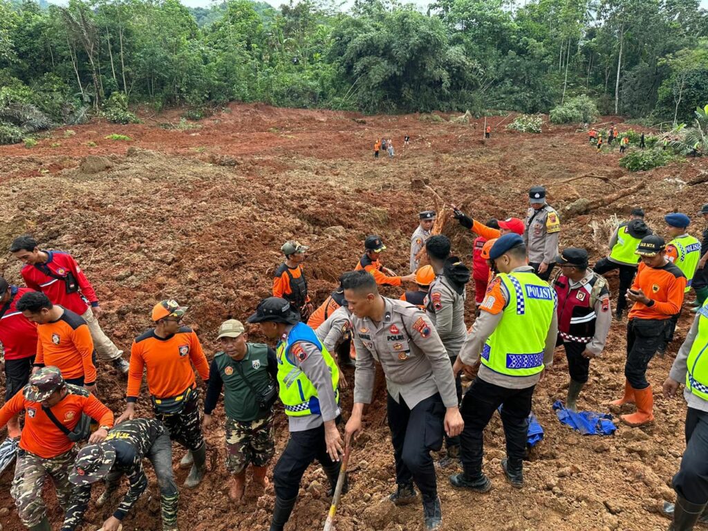 WhatsApp Image 2025-11-14 at 14.07.09