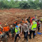 WhatsApp Image 2025-11-14 at 14.07.09