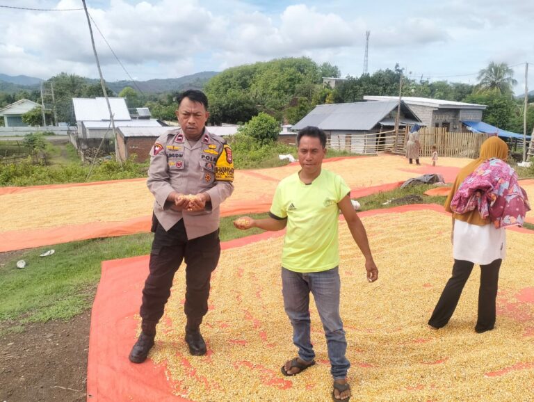 WhatsApp Image 2025-11-14 at 16.35.36