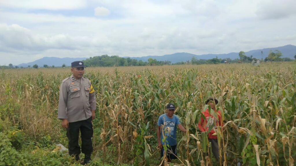 WhatsApp Image 2025-11-15 at 21.36.27