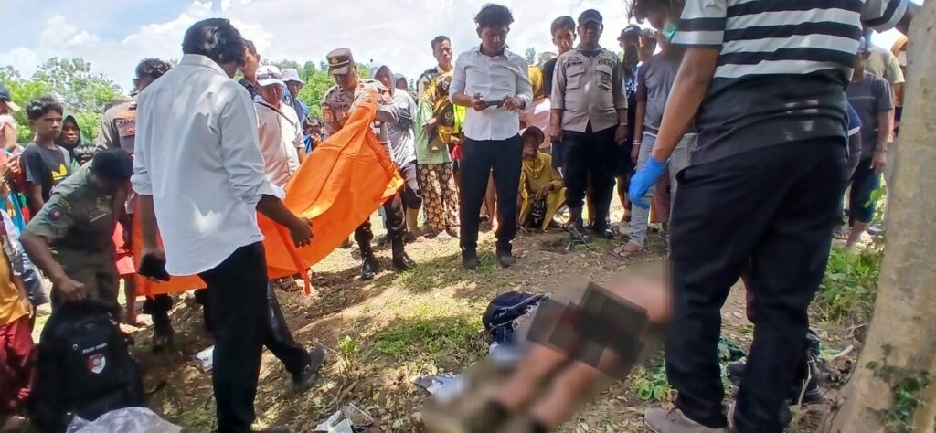 WhatsApp Image 2025-11-17 at 6.21.32 PM