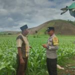 WhatsApp Image 2025-11-18 at 19.46.43 (1)