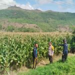 WhatsApp Image 2025-11-22 at 23.04.40