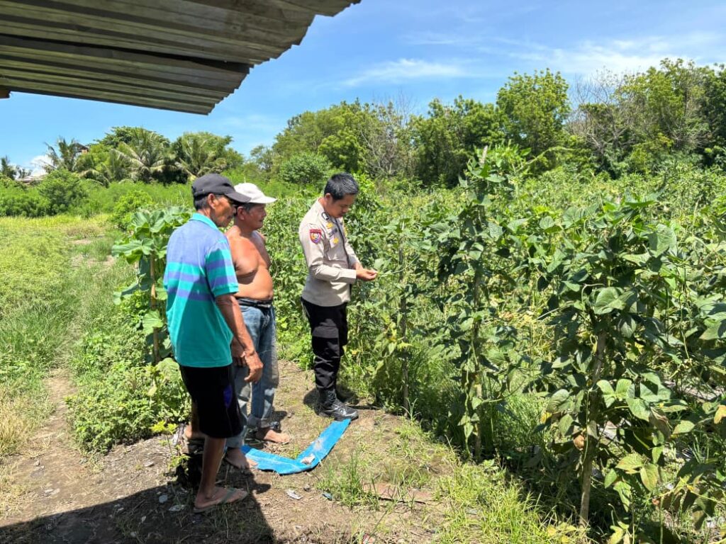 WhatsApp Image 2025-11-23 at 08.14.40