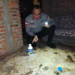 WhatsApp Image 2025-11-26 at 10.38.44 PM