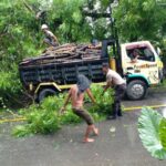 WhatsApp Image 2025-11-26 at 21.41.48 (1)