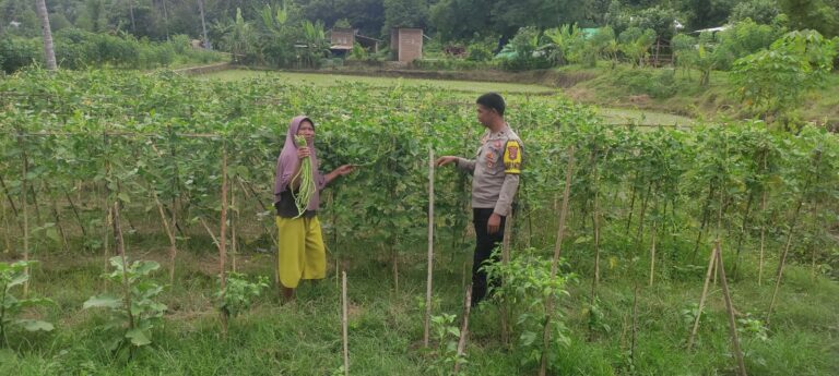 WhatsApp Image 2025-11-28 at 12.54.25