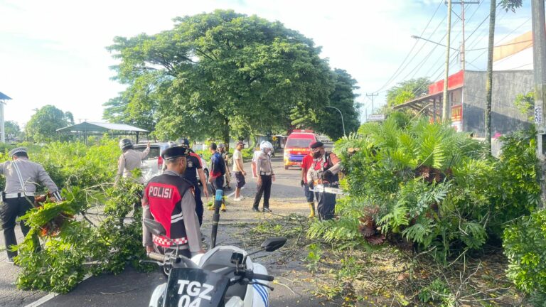 782acfaa-25e8-4ffe-aa07-068acf95ab57